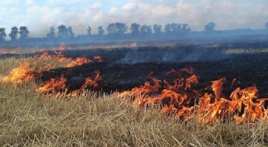 МЧС РОССИИ: В УСЛОВИЯХ ОСОБОГО ПРОТИВОПОЖАРНОГО РЕЖИМА ПОВЫШАЕТСЯ ОТВЕТСТВЕННОСТЬ ЗА НАРУШЕНИЯ..